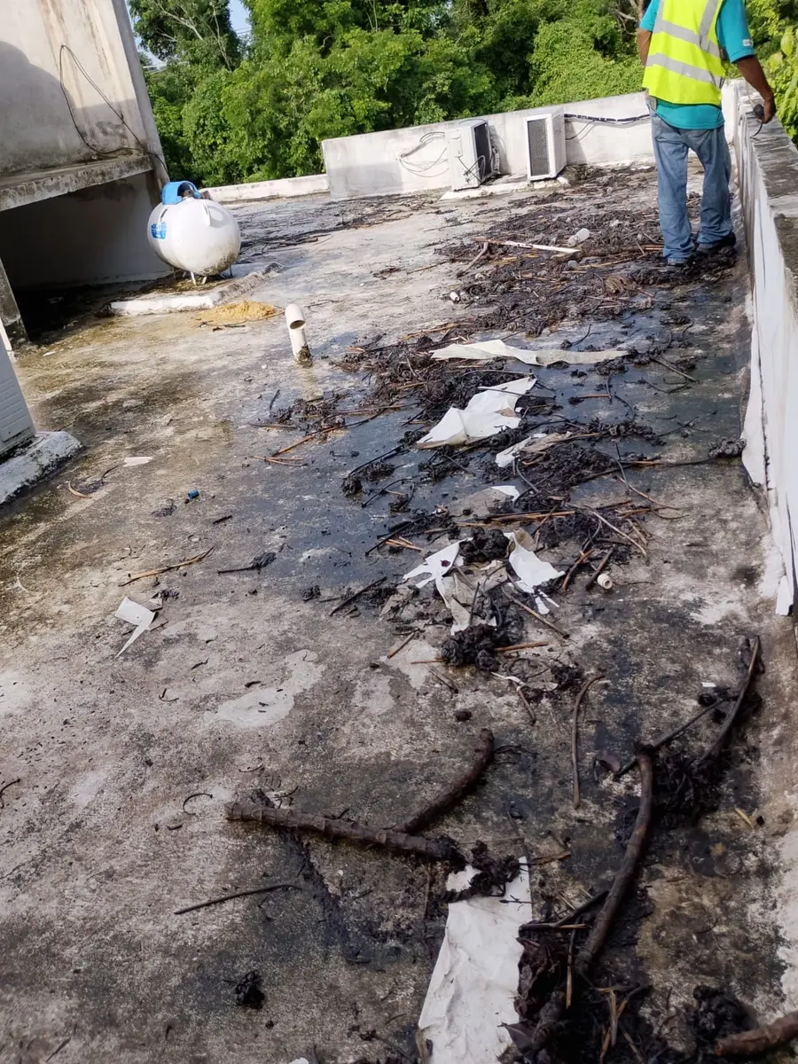 Azotea con hojas, basura y superficie deteriorada antes de impermeabilizar